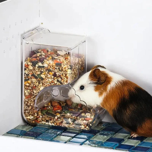 Automatic Small Pet Food Feeder