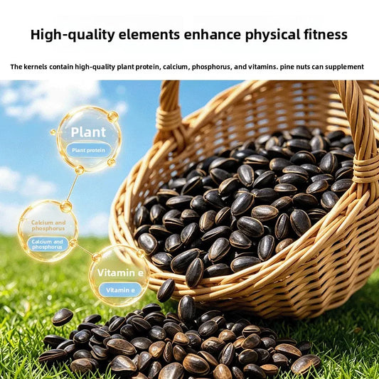Natural Pine Nut Bird Treats