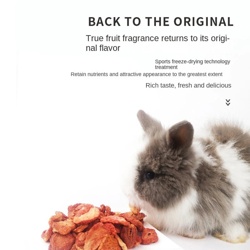 Freeze Dried Strawberry Pet Treats