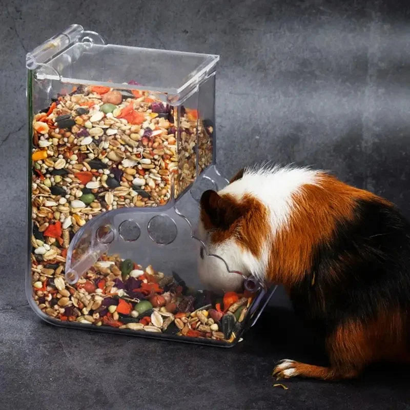 Automatic Small Pet Food Feeder