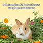 Natural Grass Hay Small Pets