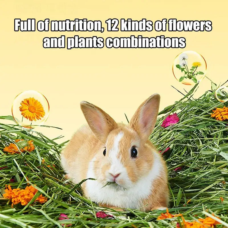 Natural Grass Hay Small Pets