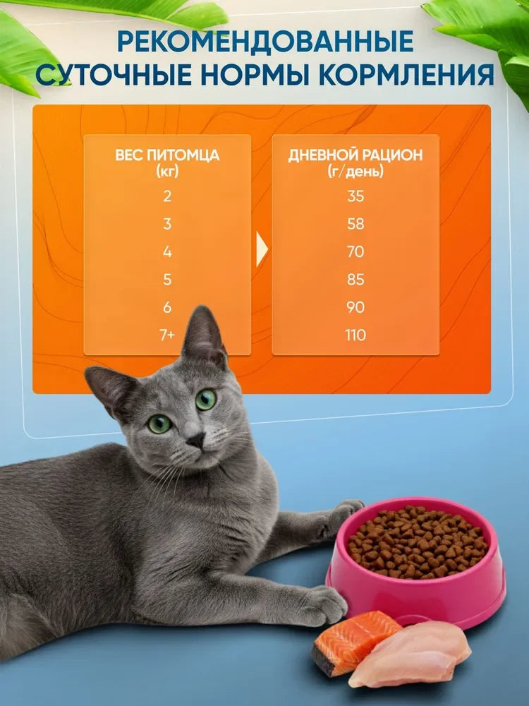 Holistic Chicken Salmon Cat Food
