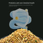 Nutritious Starling Bird Feed