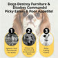 Premium Beef Jerky Dog Treats