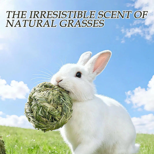 Rabbit Timothy Hay Chew Balls