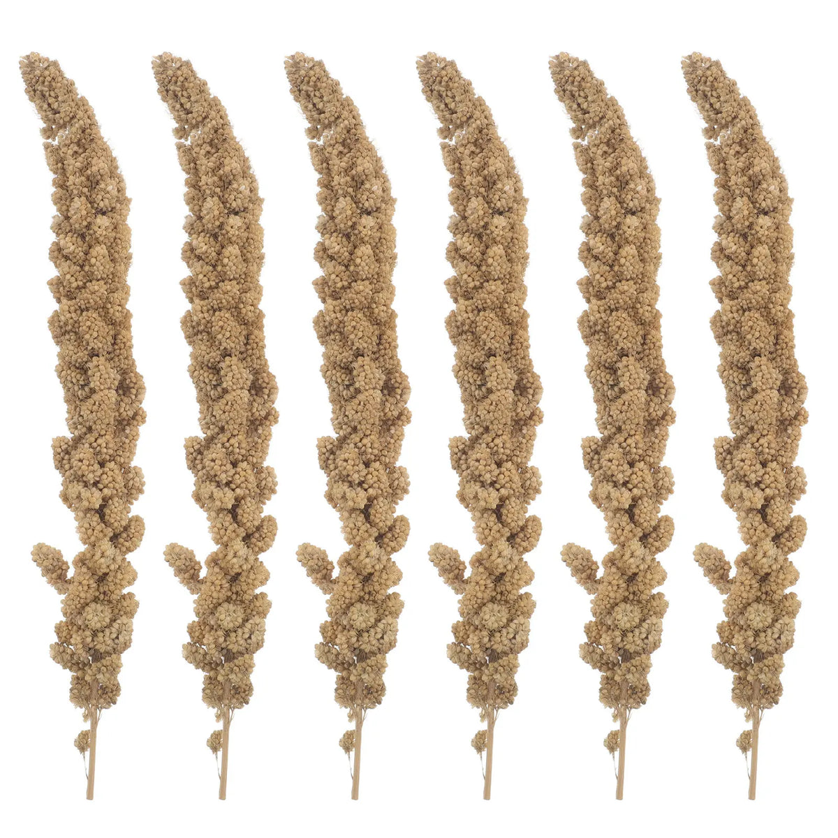 Premium Millet Bird Treat Spray