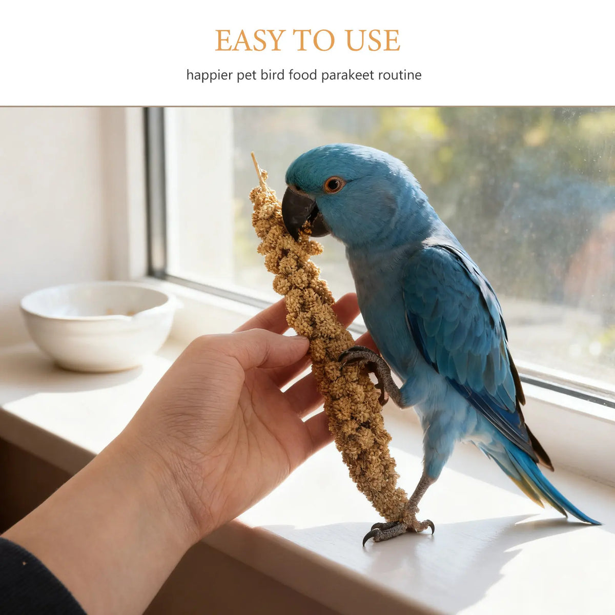 Natural Millet Bird Treat