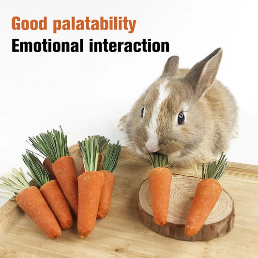 Natural Carrot Chew Toys
