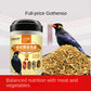Nutritious Starling Bird Feed