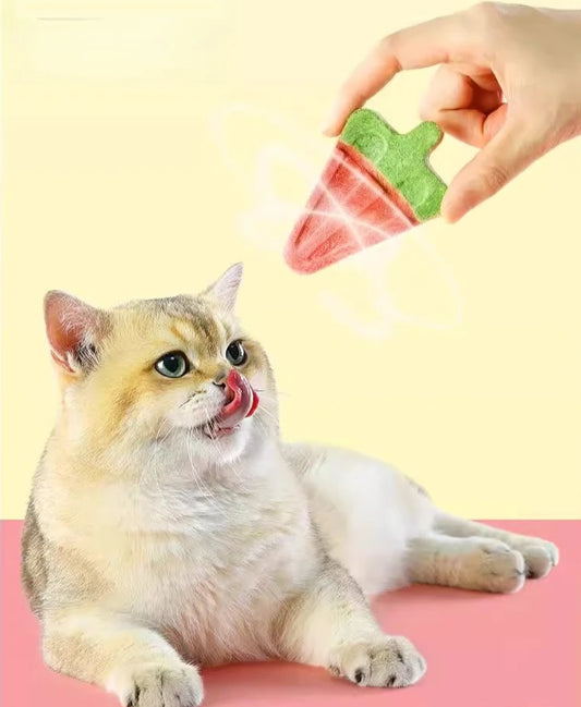 Watermelon Freeze Dried Pet Treats