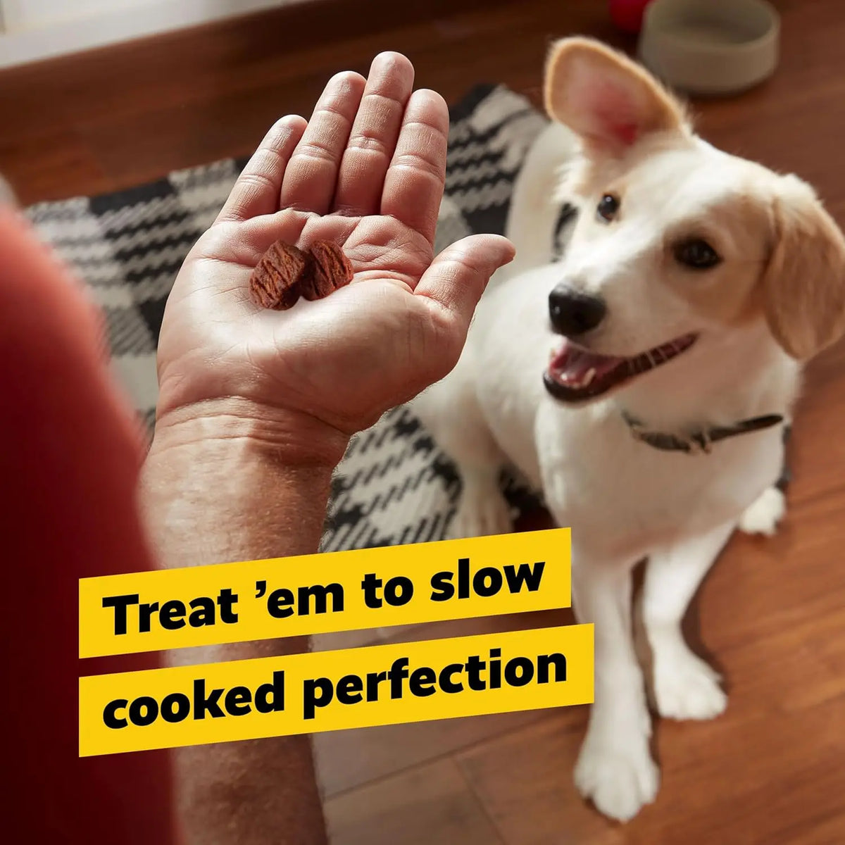 Premium Beef Jerky Dog Treats