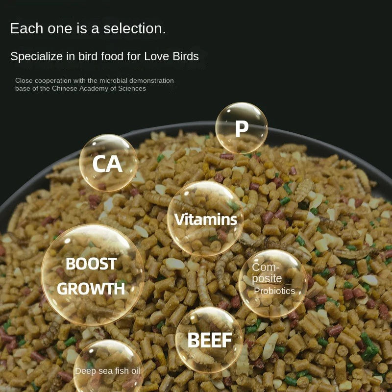 Nutritious Starling Bird Feed