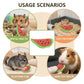 Hamster Timothy Hay Carrot Chews