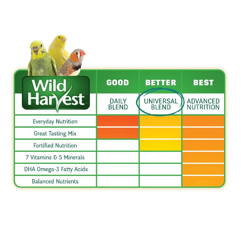 Premium Parrot Seed Food Blend