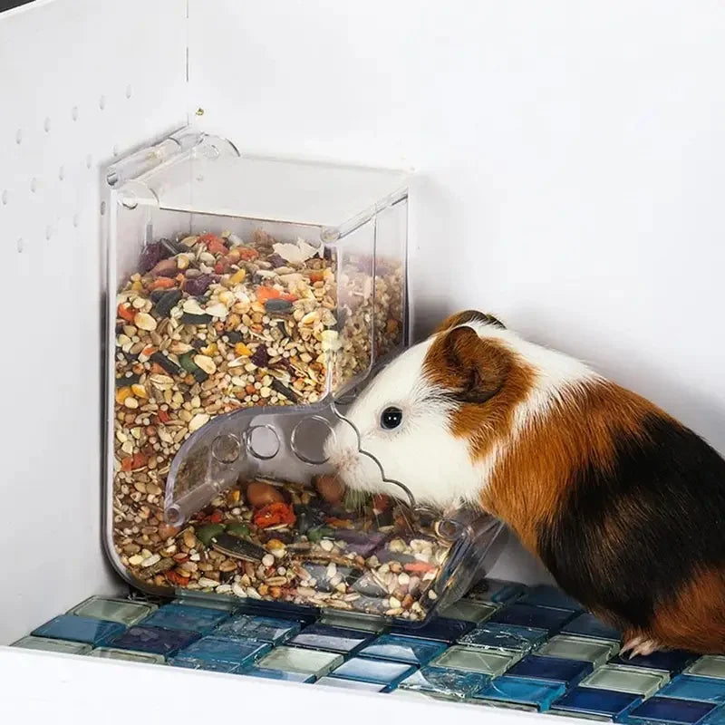 Automatic Small Pet Food Feeder