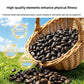 Natural Pine Nut Bird Treats