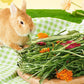 Natural Grass Hay Small Pets