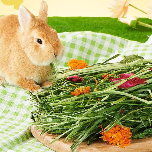 Natural Grass Hay Small Pets