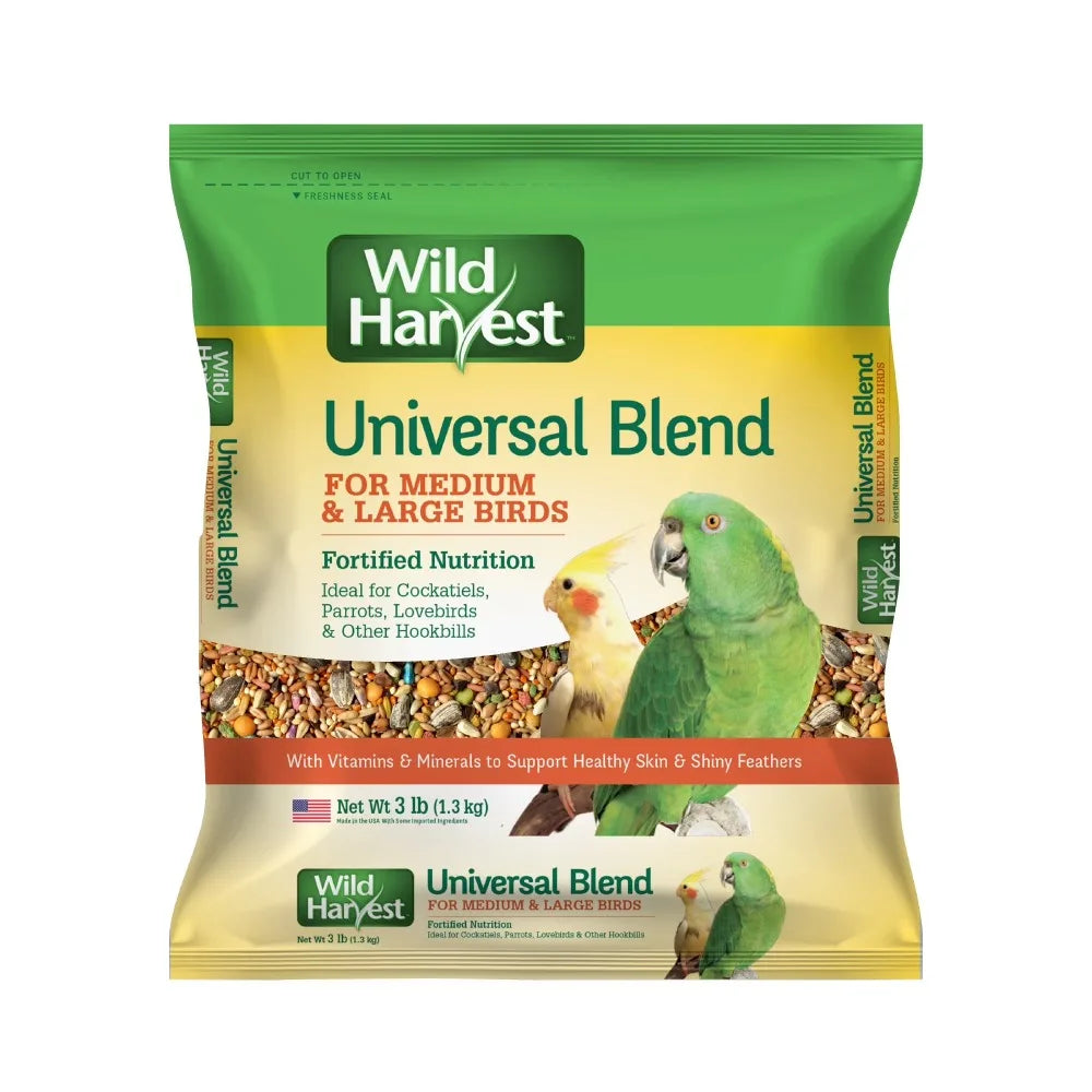 Premium Parrot Seed Food Blend