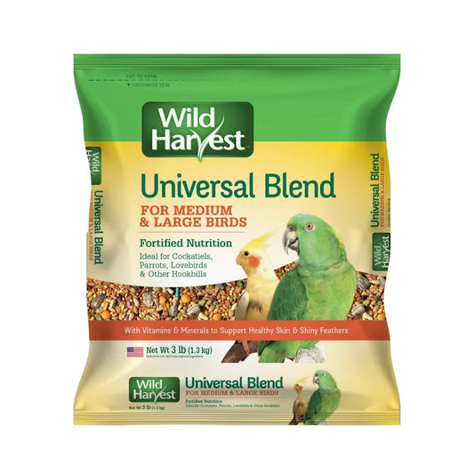 Premium Parrot Seed Food Blend
