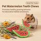 Hamster Timothy Hay Carrot Chews