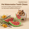 Hamster Timothy Hay Carrot Chews