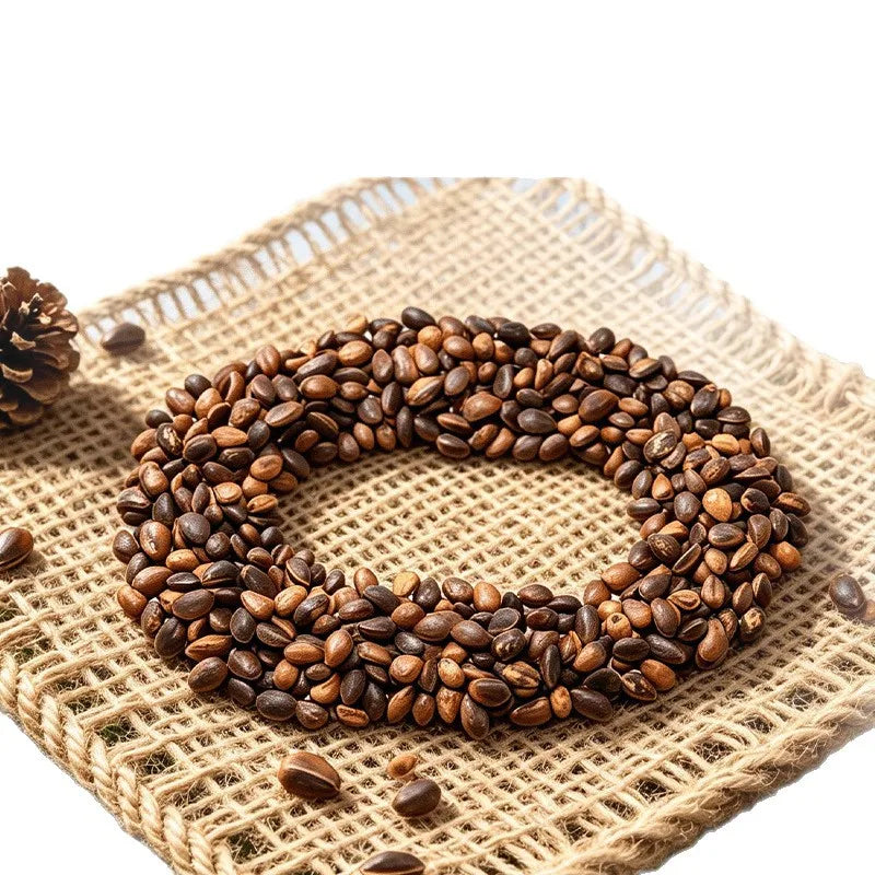 Natural Pine Nut Bird Treats