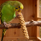 Natural Millet Bird Treat