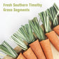 Natural Carrot Chew Toys