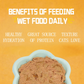 Tuna Beef Cat Food Cans