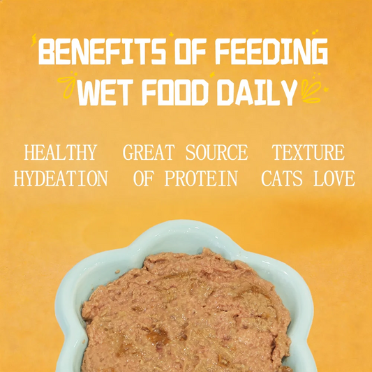 Tuna Beef Cat Food Cans