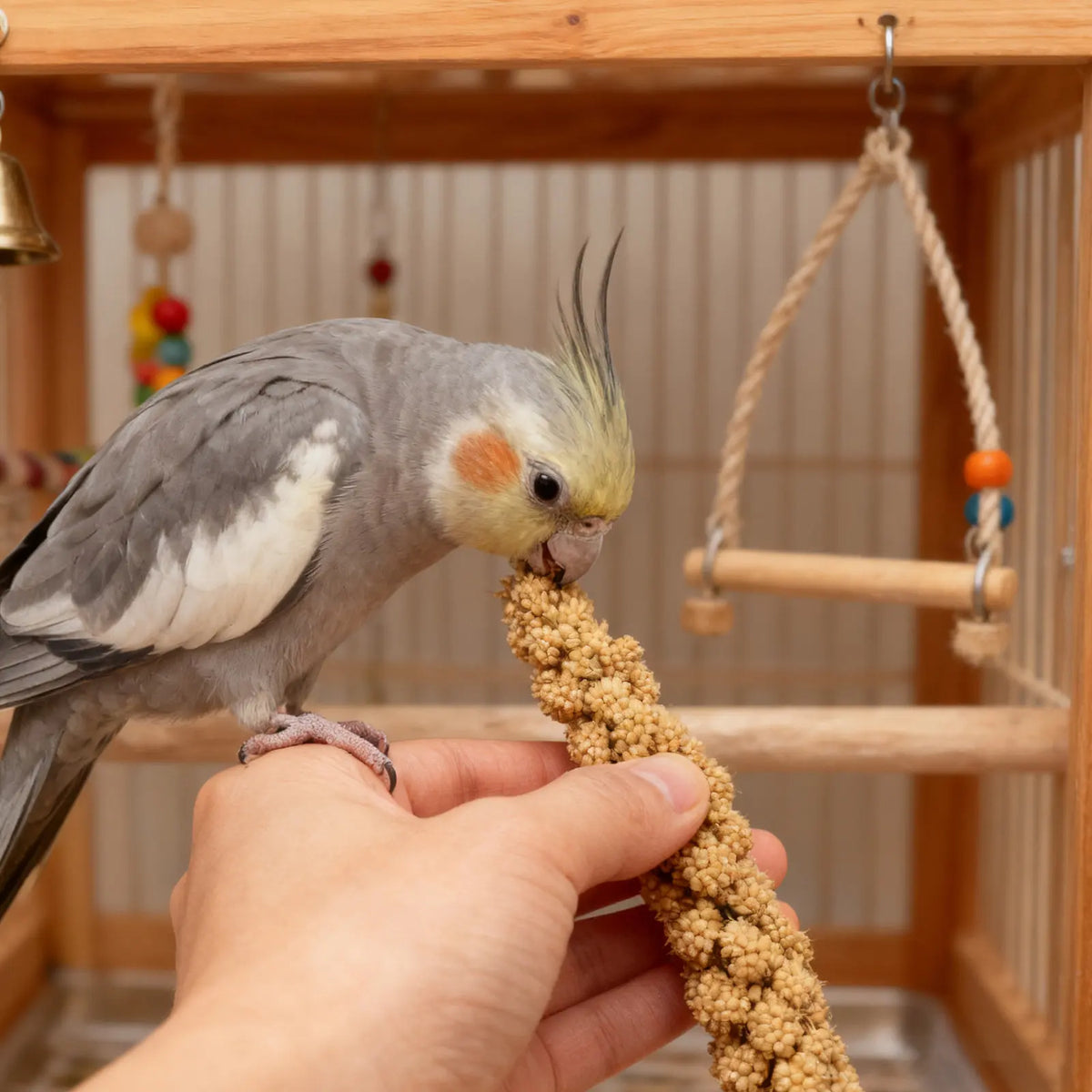 Natural Millet Bird Treat