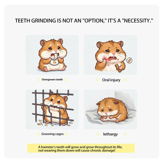 Hamster Chicken Leg Chew Treats