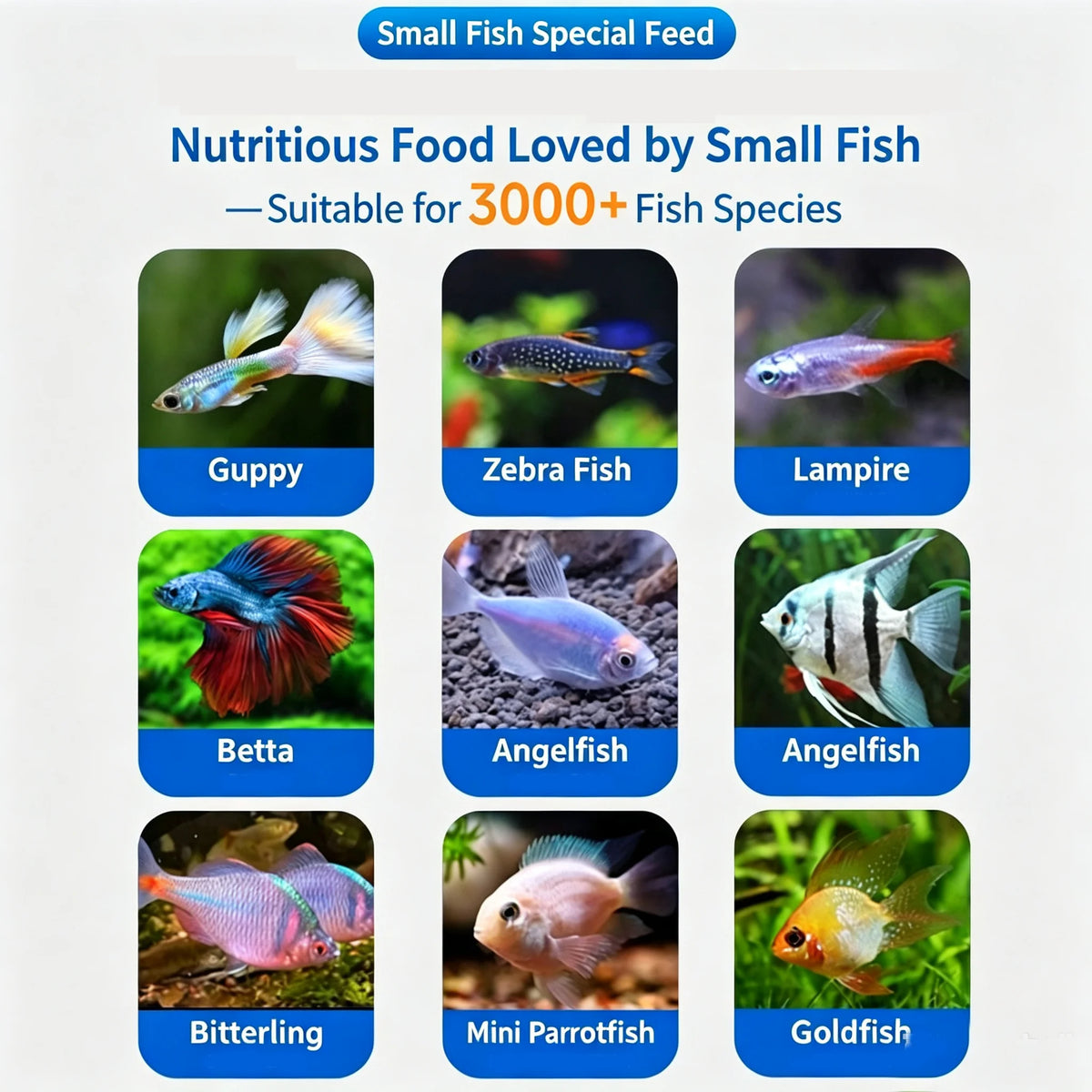 High Protein Tropical Fish Flakes