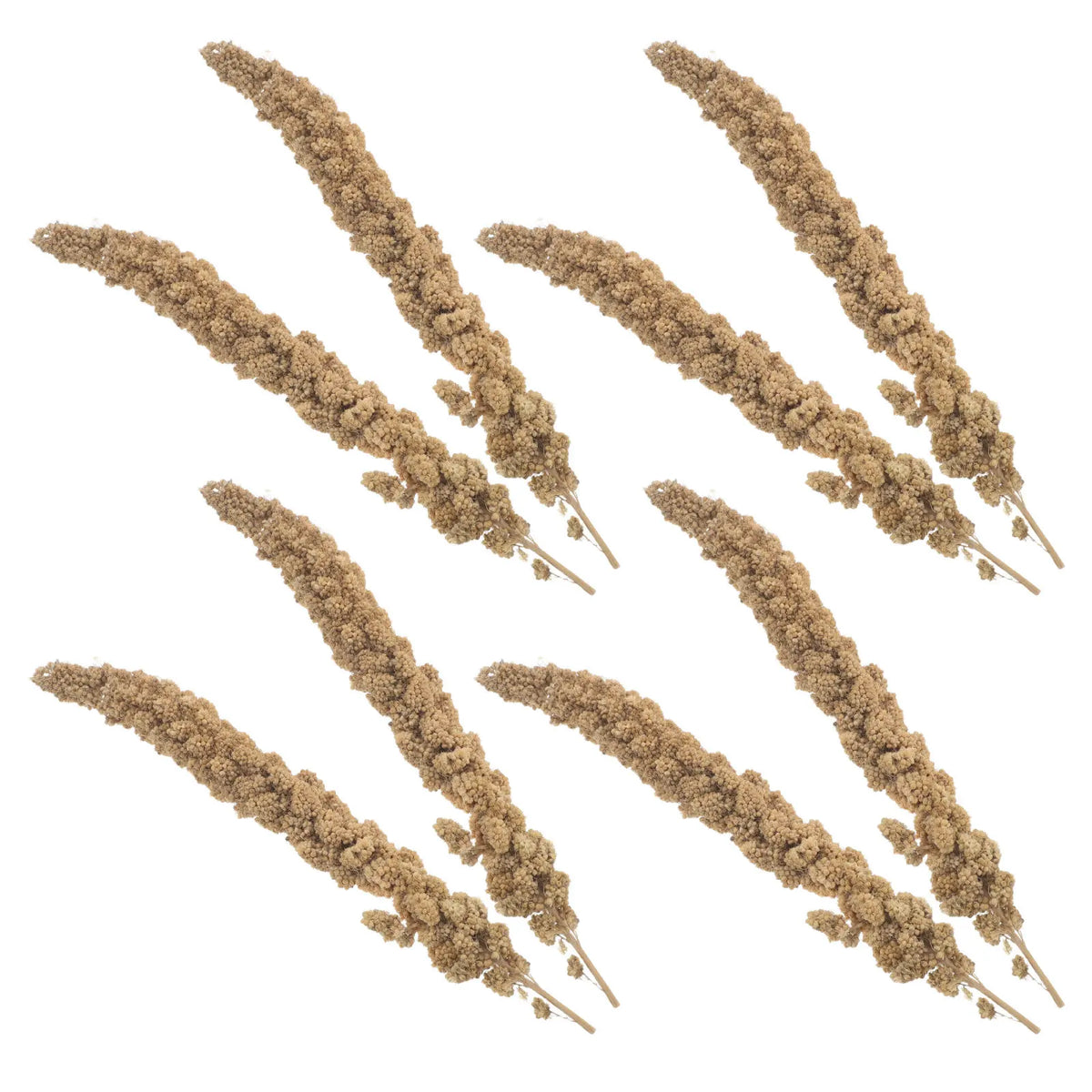 Premium Millet Bird Treat Spray