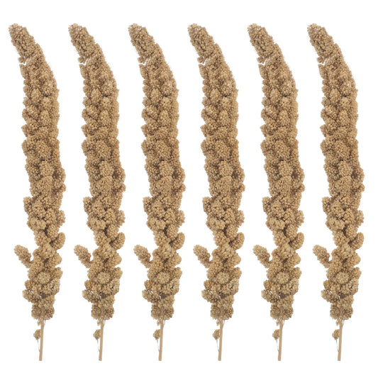 Natural Millet Bird Treat