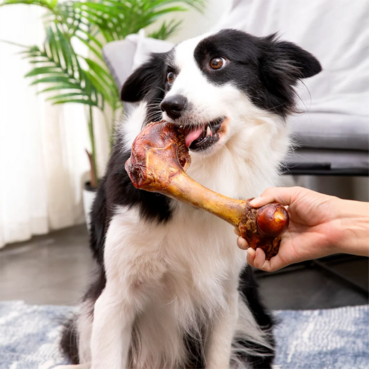 Natural Large Cow Bone Treat