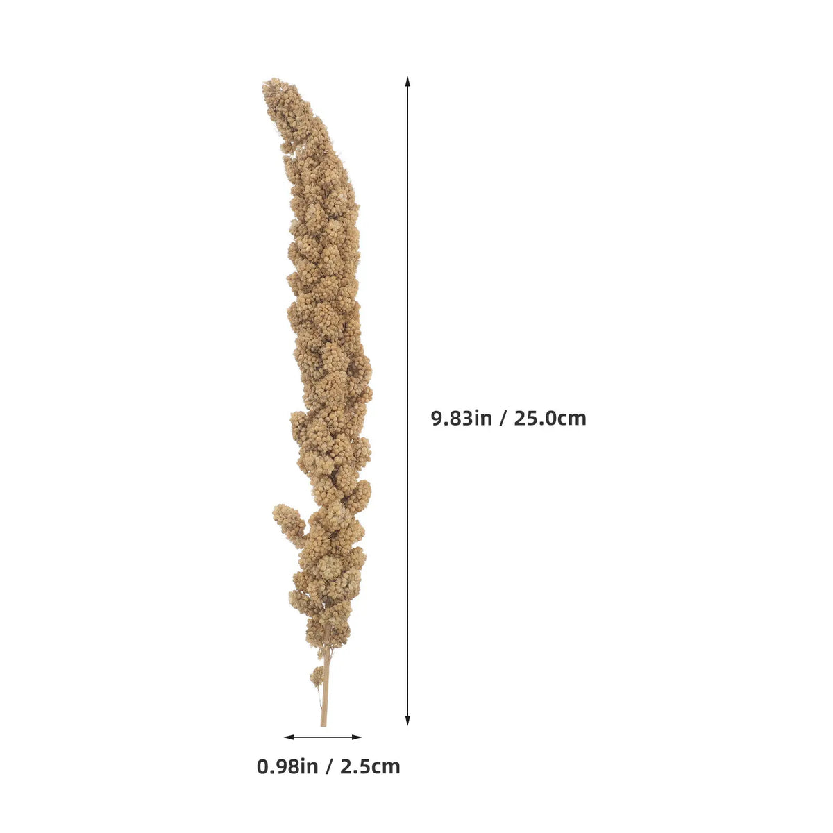 Premium Millet Bird Treat Spray