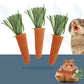 Natural Carrot Chew Toys