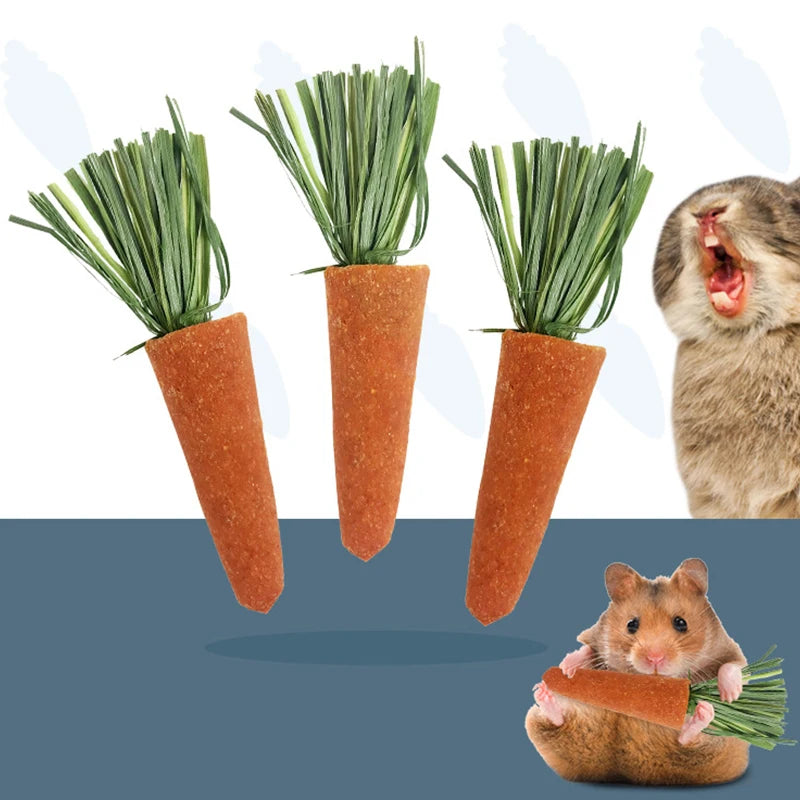 Natural Carrot Chew Toys