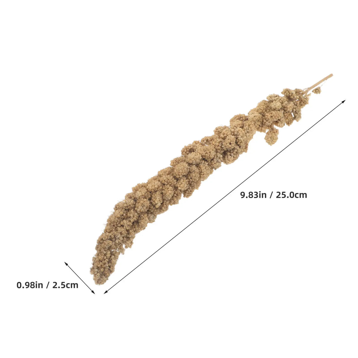 Premium Millet Bird Treat Spray