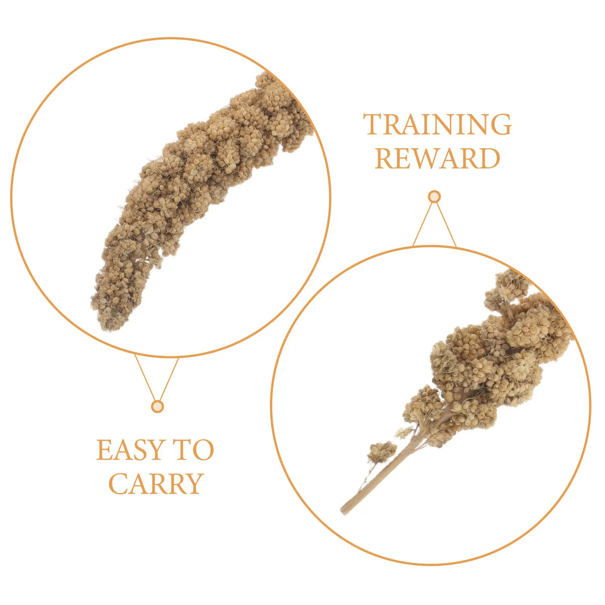 Premium Millet Bird Treat Spray