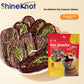 Dried Pig Treat Slices