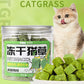 Freeze Dried Cat Grass Treats