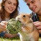 Rabbit Timothy Hay Chew Balls