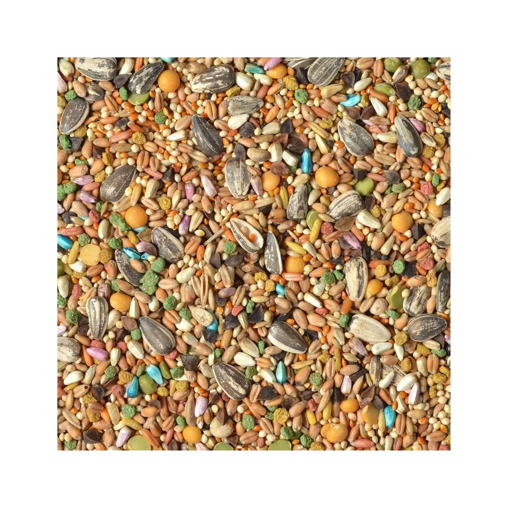Premium Parrot Seed Food Blend