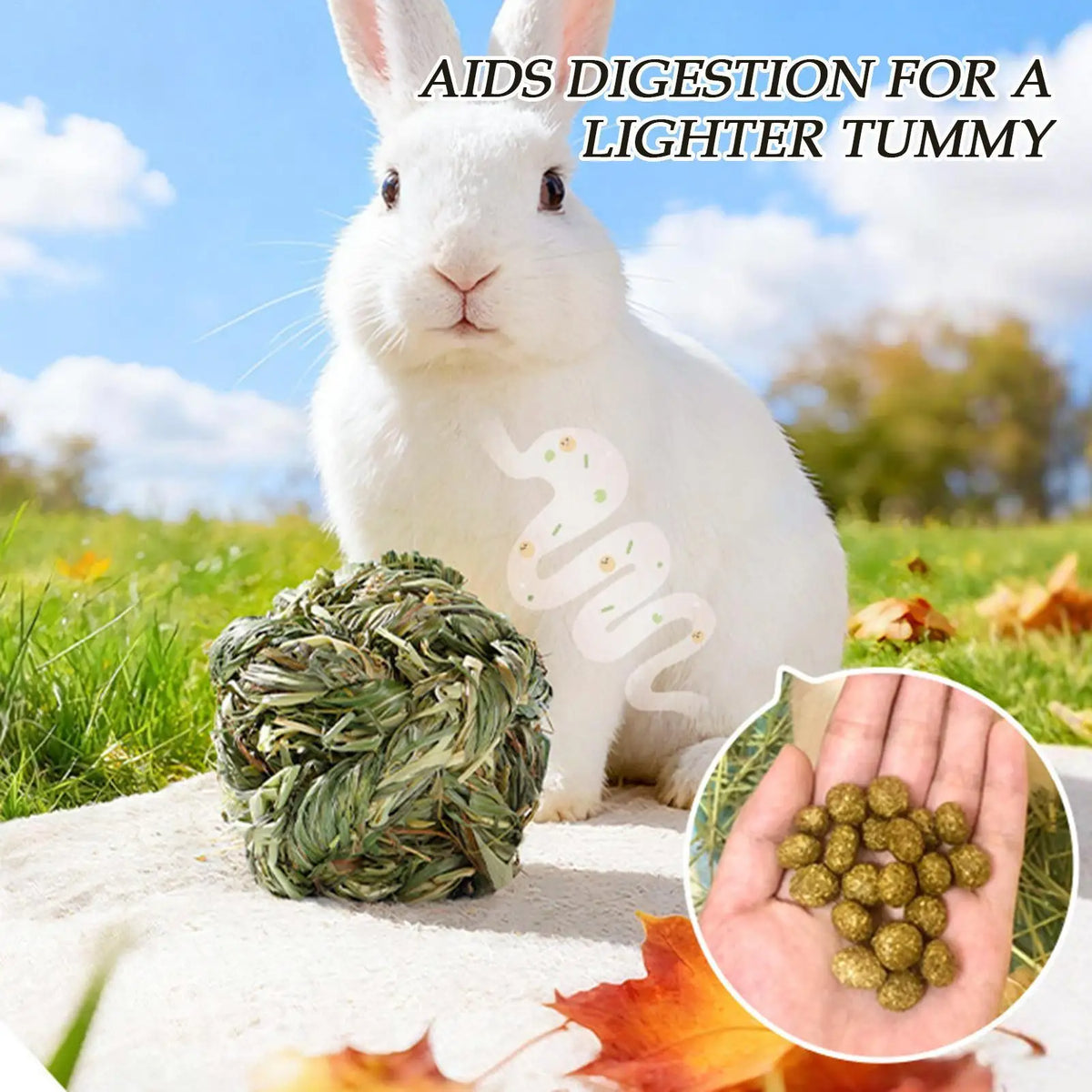 Rabbit Timothy Hay Chew Balls
